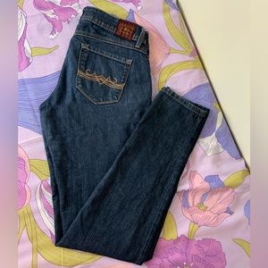 EUC Domaine Brand  Skinny Dark wash Blue Jeans youth Women’s